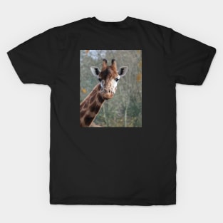 Giraffe's majestic portrait T-Shirt